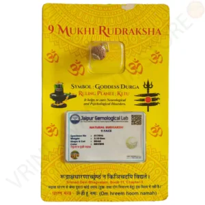 Natural 9 mukhi rudraksha bead with clearly visible nine faces